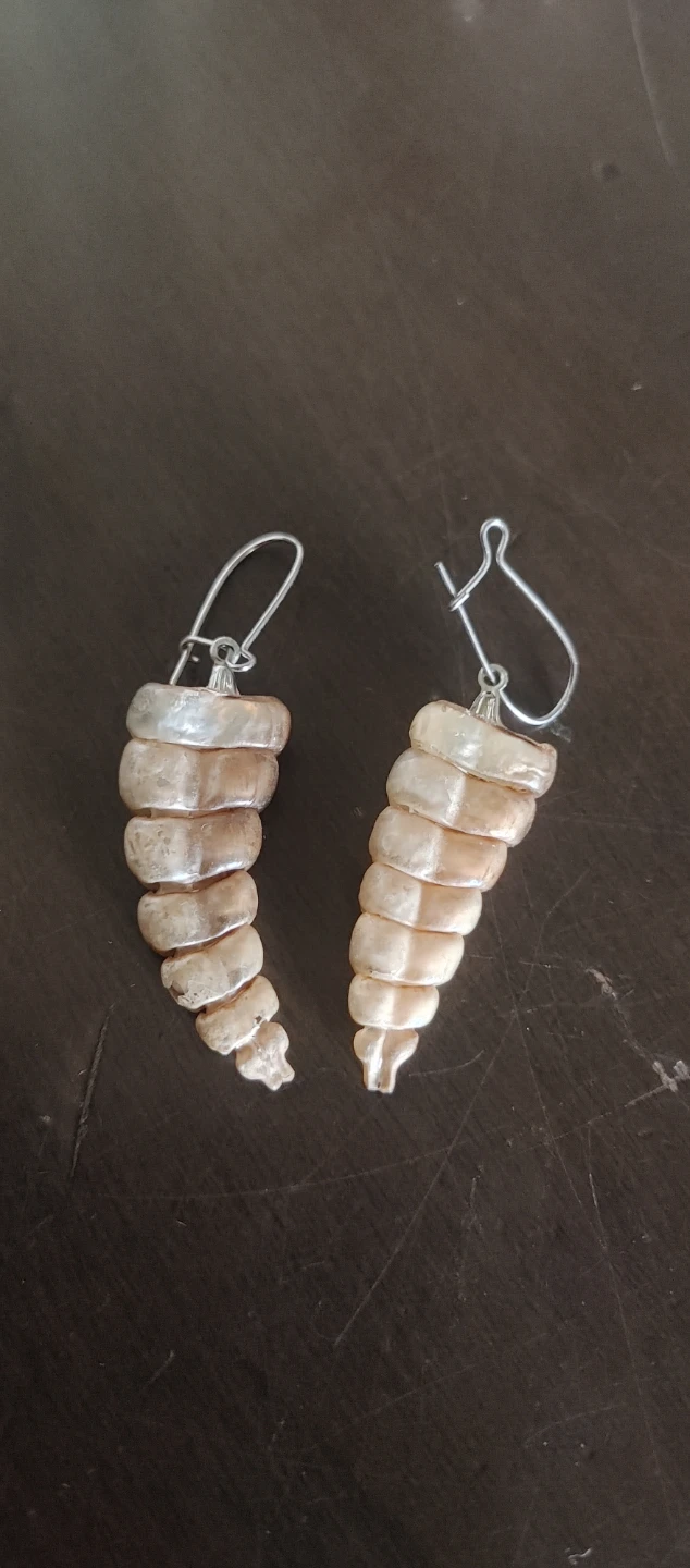 Seashell Dangle Earrings