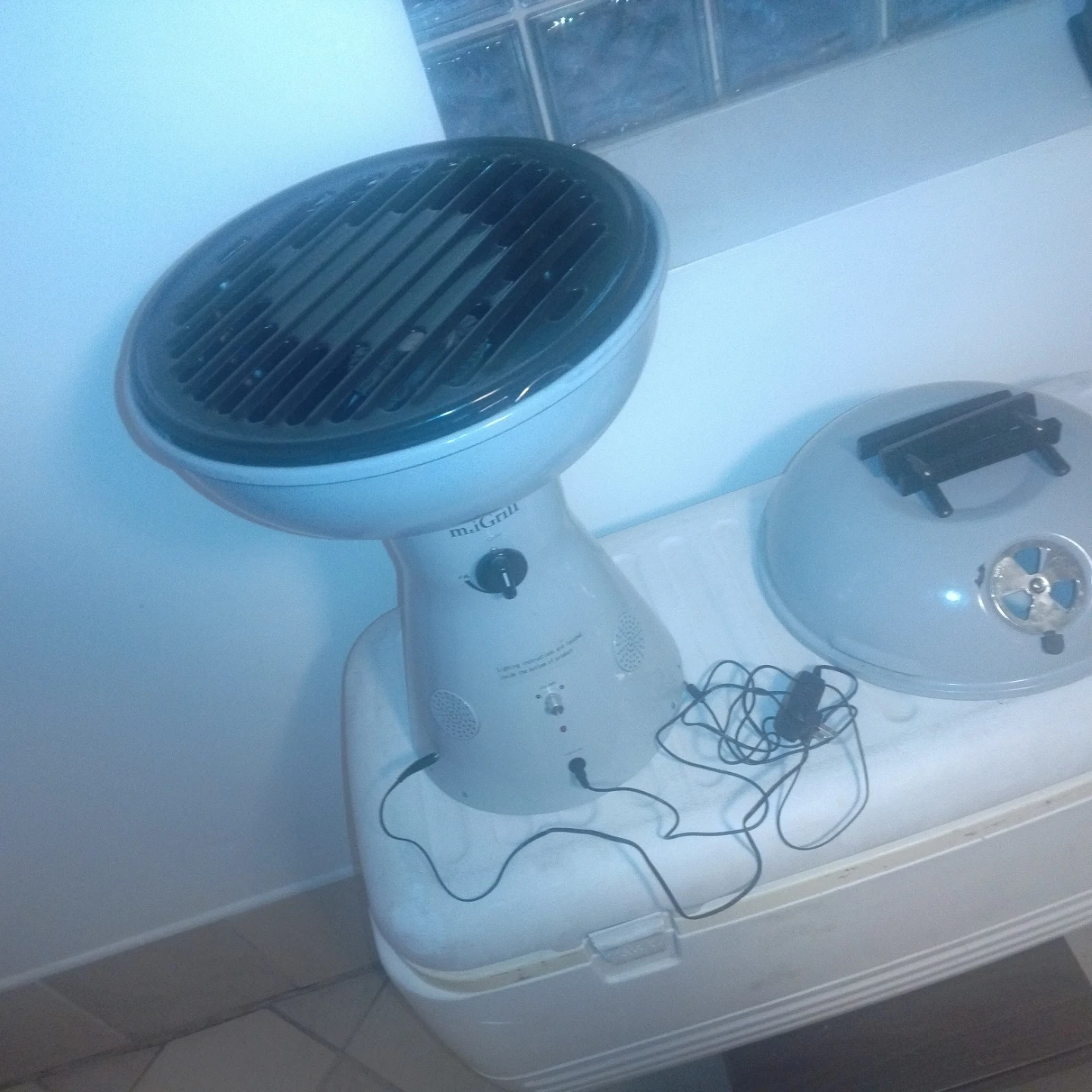 Small propane grill