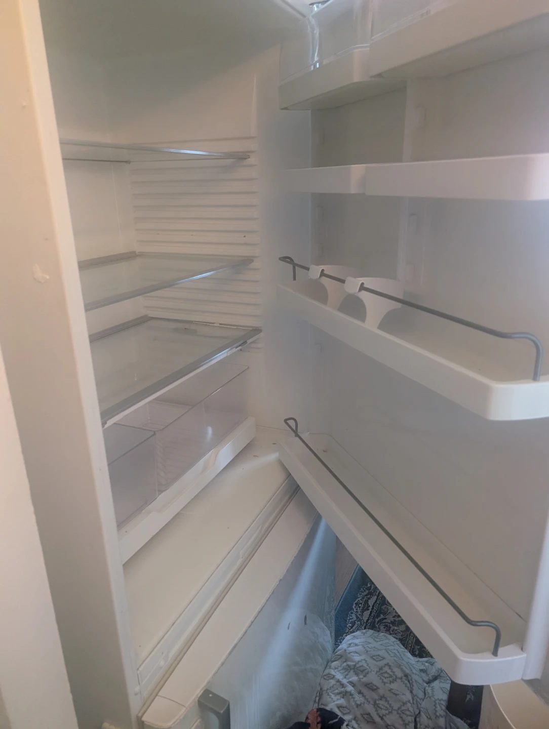 Fisher & Paykel Refrigerator - photo 2