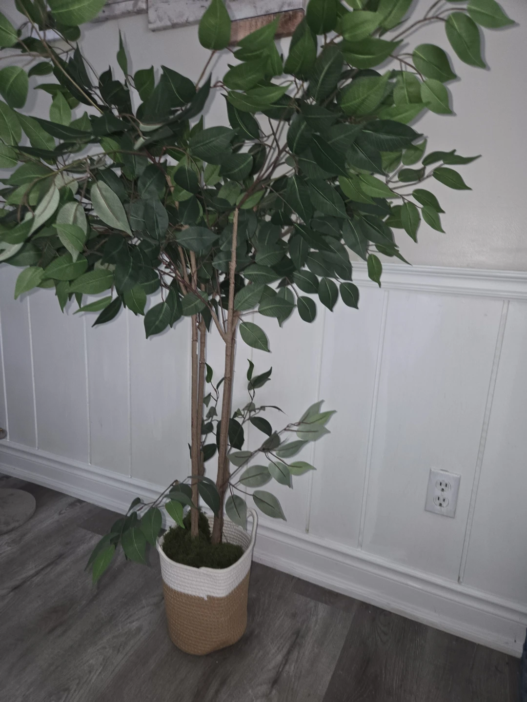 Artificial Ficus Tree in Woven Pot - photo 2