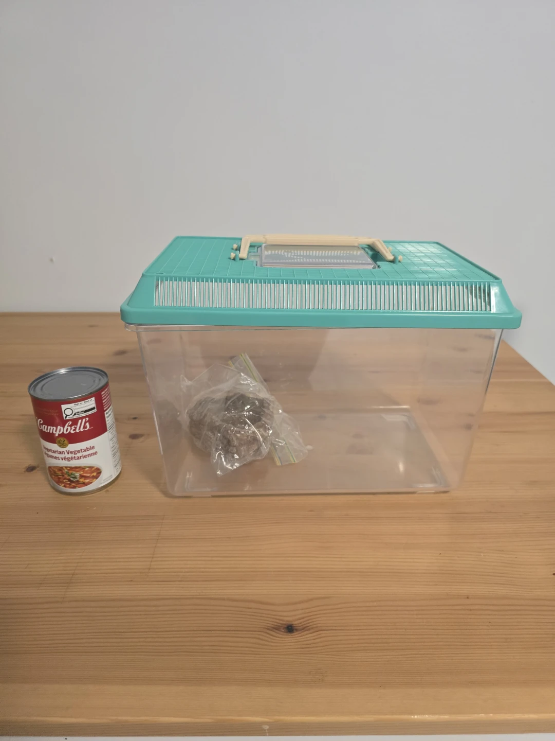 Clear Critter Habitat with Teal Lid