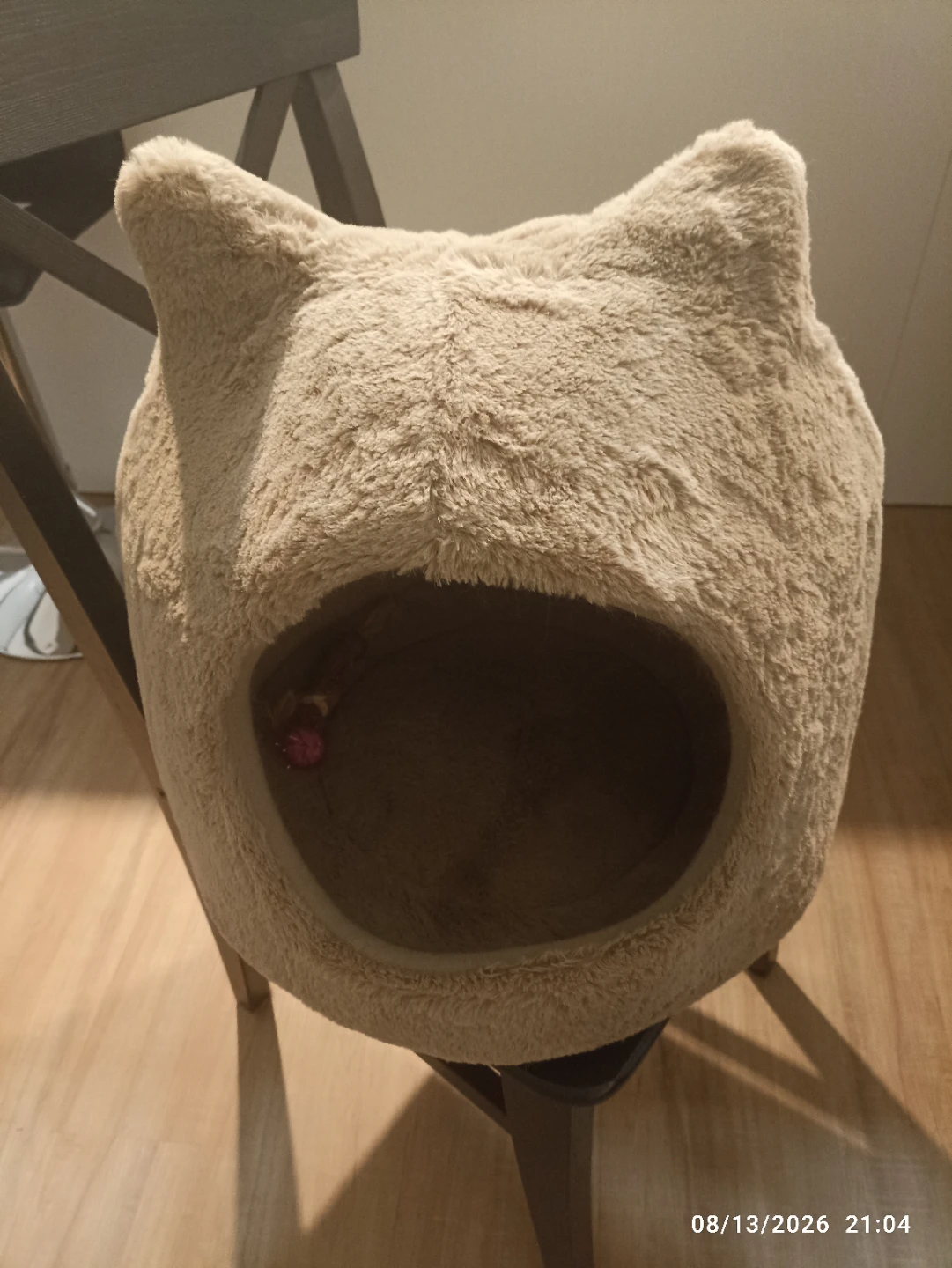 Best Friends by Sheri Cat Bed