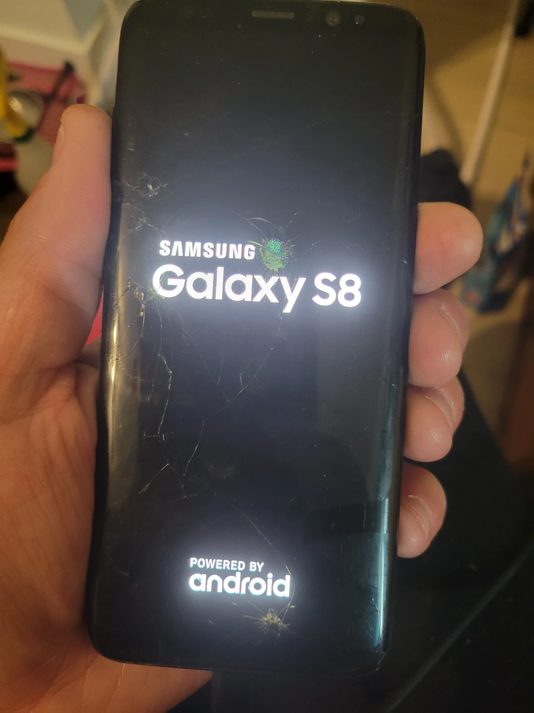 Samsung Galaxy S8 Smartphone