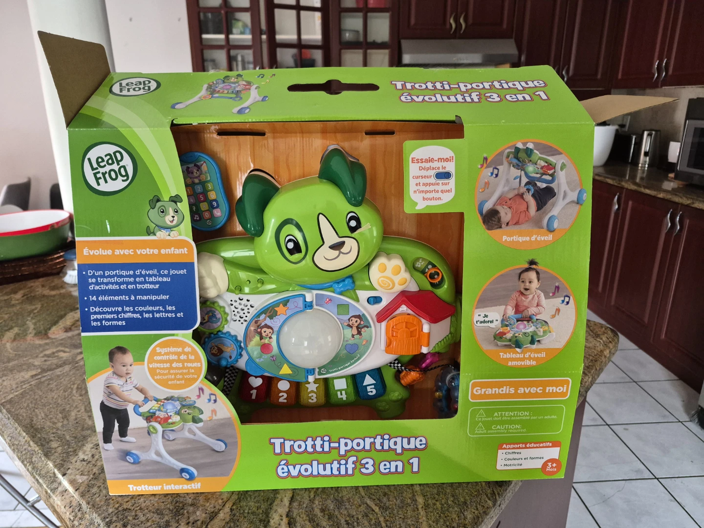 Leap Frog 3-in-1 Trotter Évolutif (5 Box)