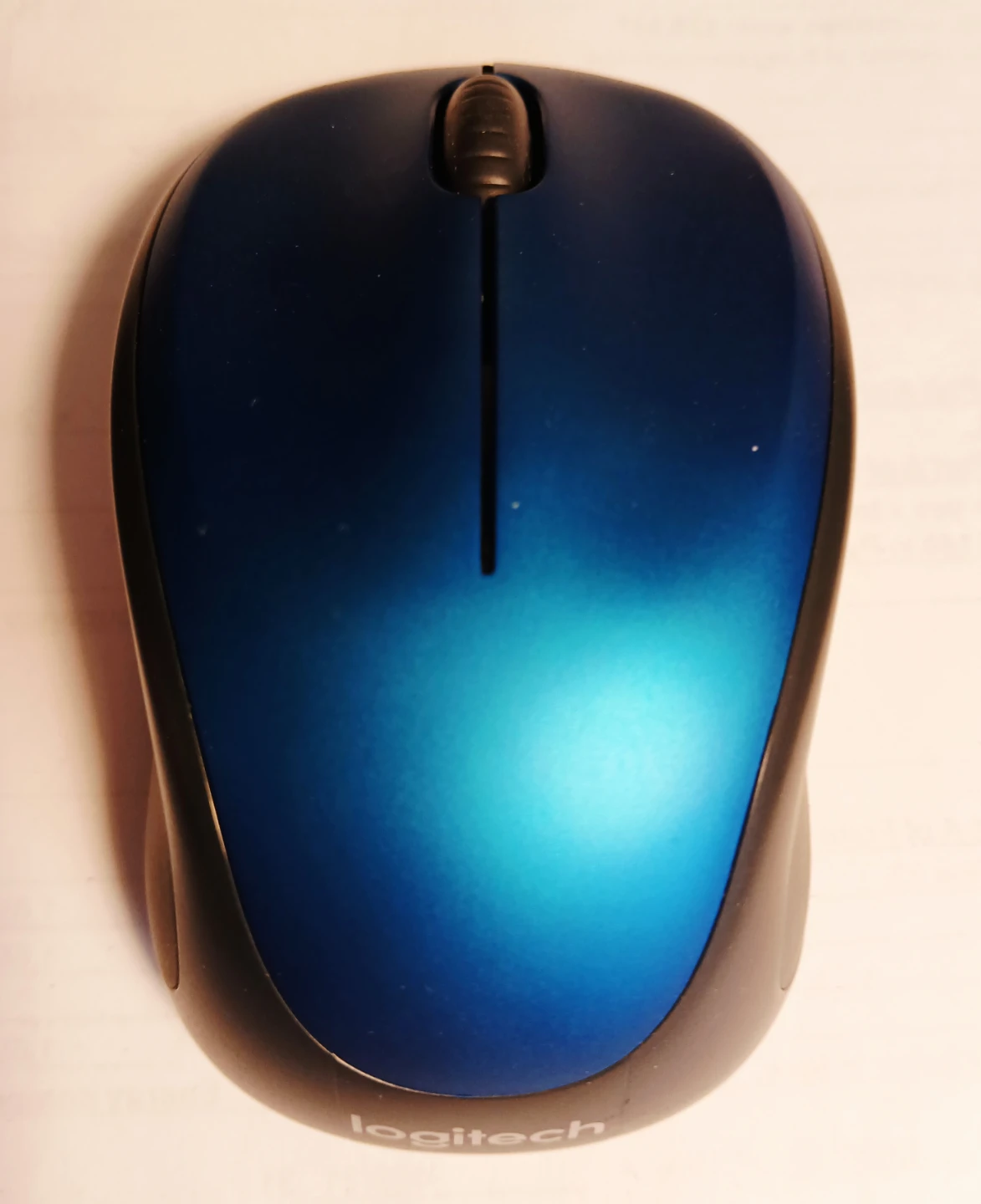 Logitech M317 Wireless Optical Mouse - Blue