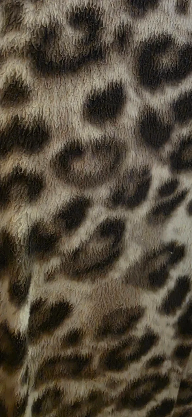 Breakfast in Bed Leopard Print Fleece Pants - photo 2