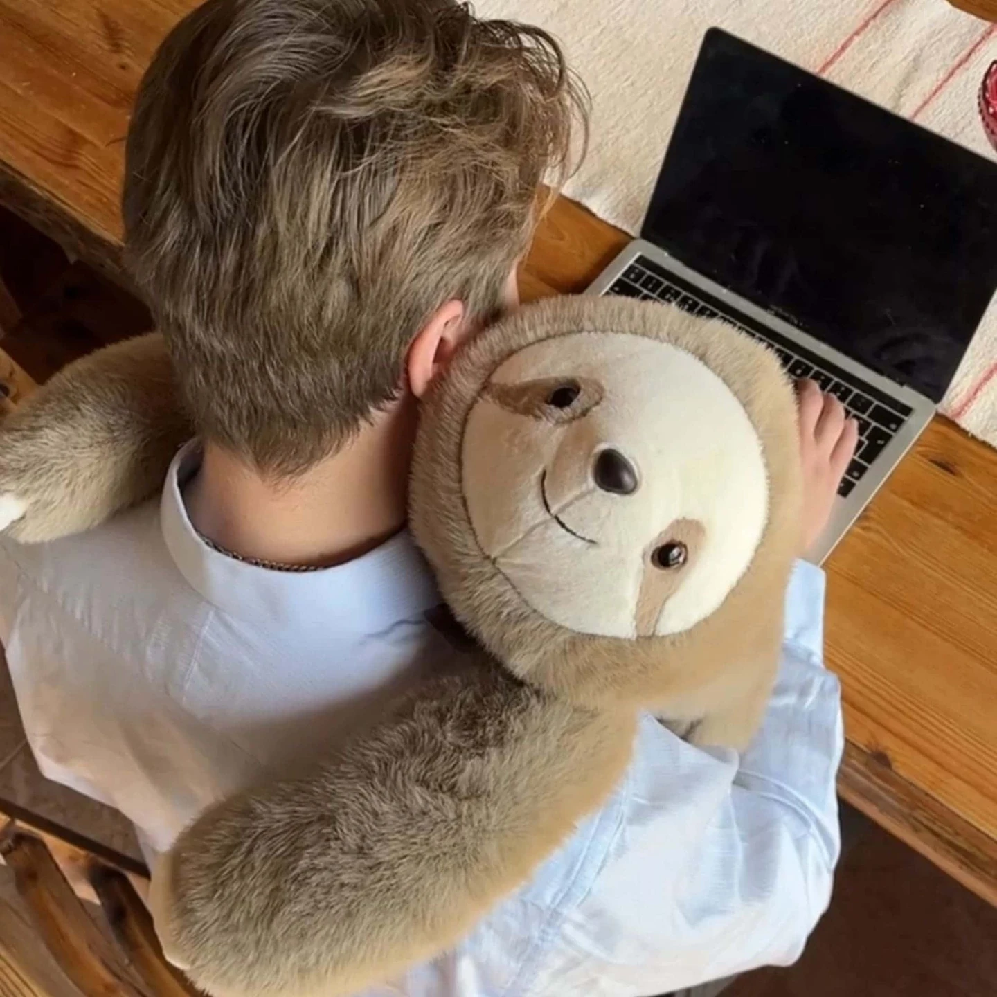 Plush Sloth Stuffed Animal