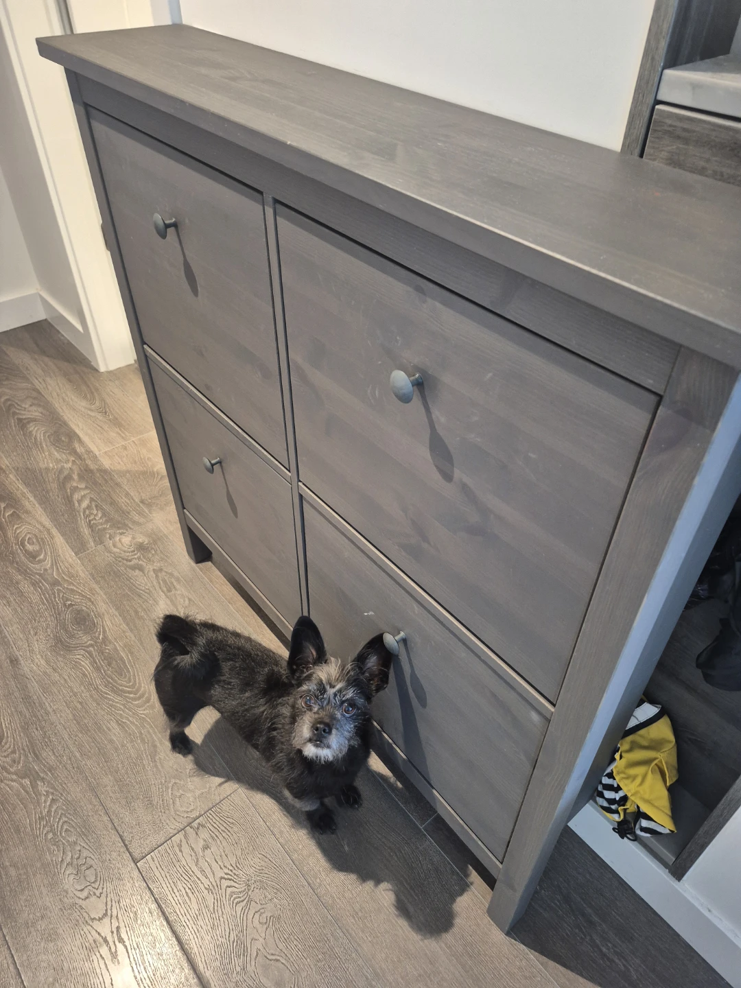 IKEA GULLABERG Shoe Cabinet – dark brown - photo 4