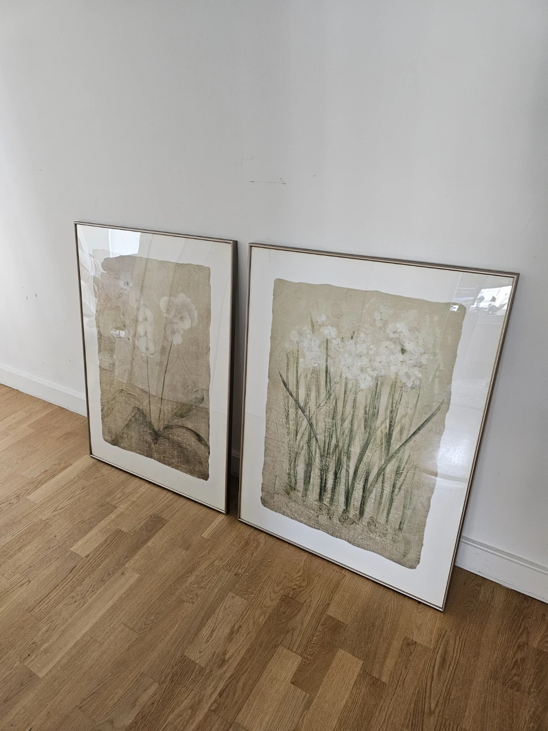 Set of 2 Framed Botanical Prints