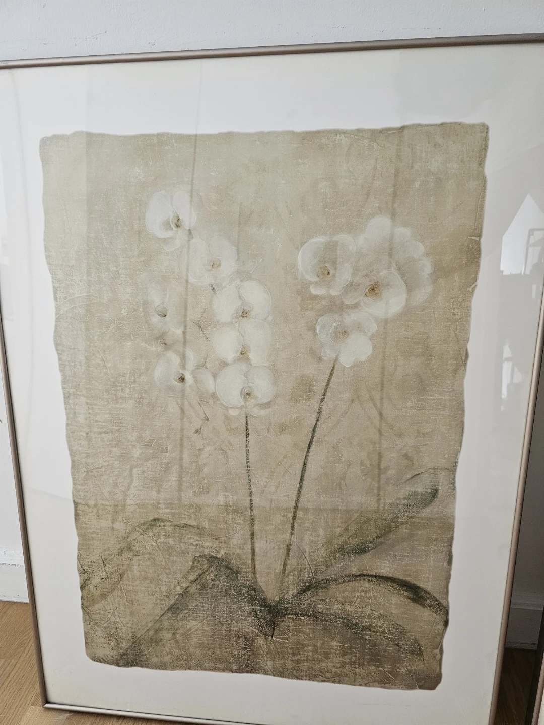 Set of 2 Framed Botanical Prints - photo 3