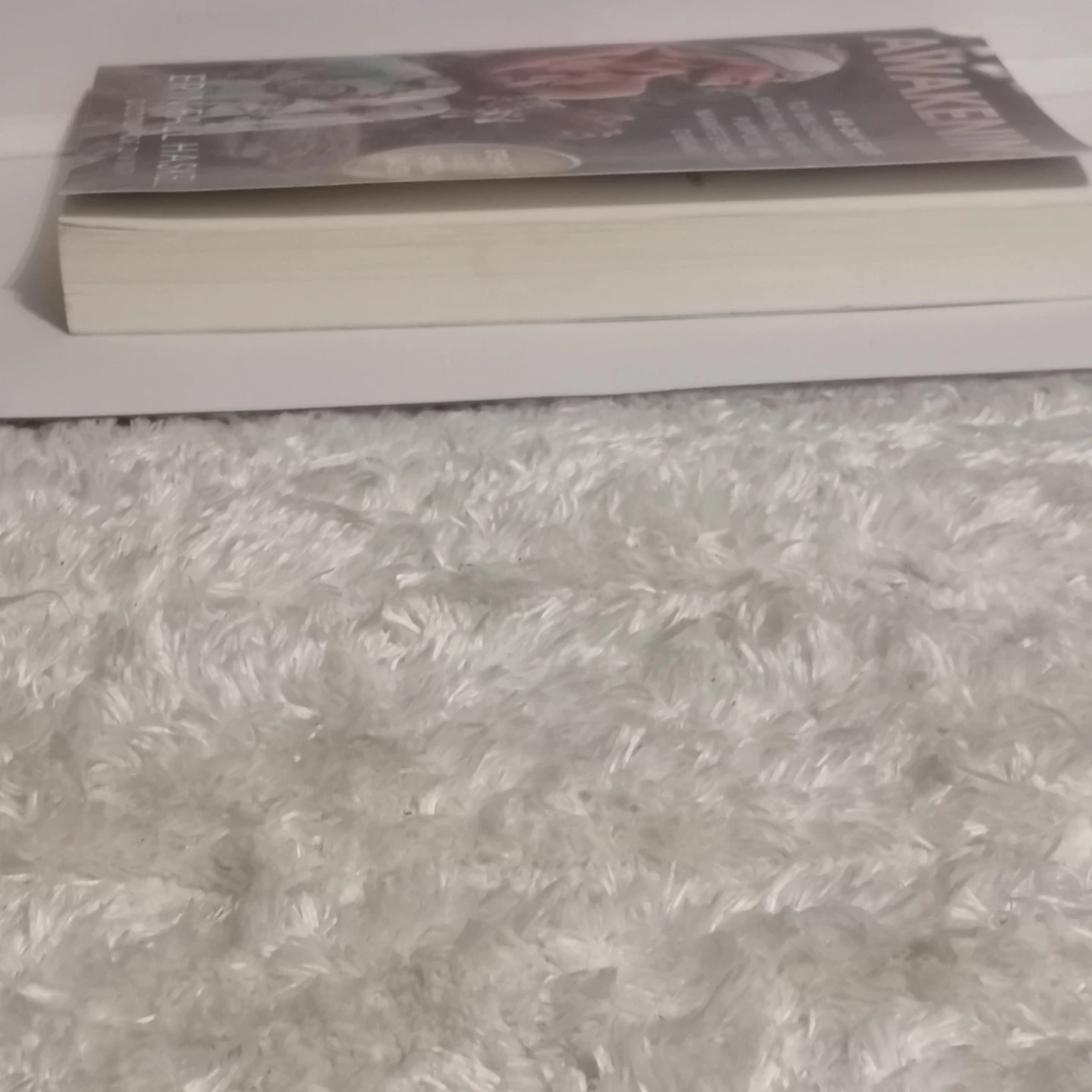 Awakening: A 40-Day Guide - photo 2