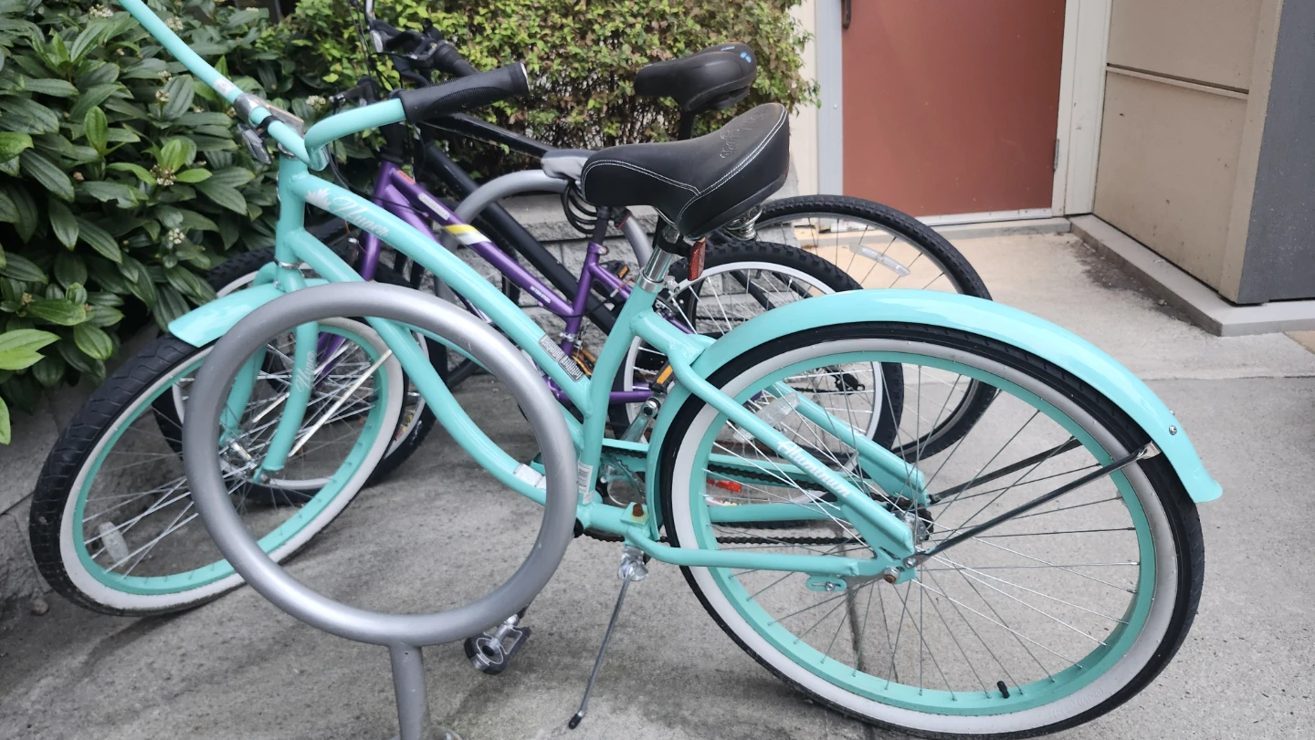 Dynamic  Bike - photo 3