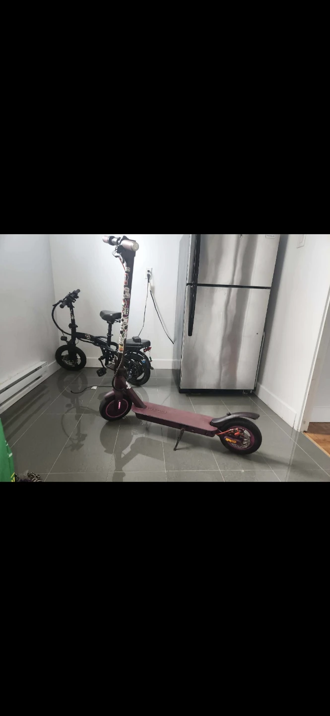Electric Scooter