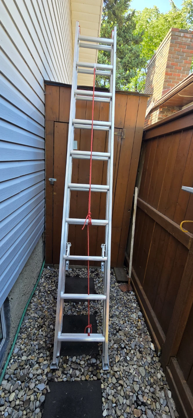 Werner 20' Ladder D1120-2CA