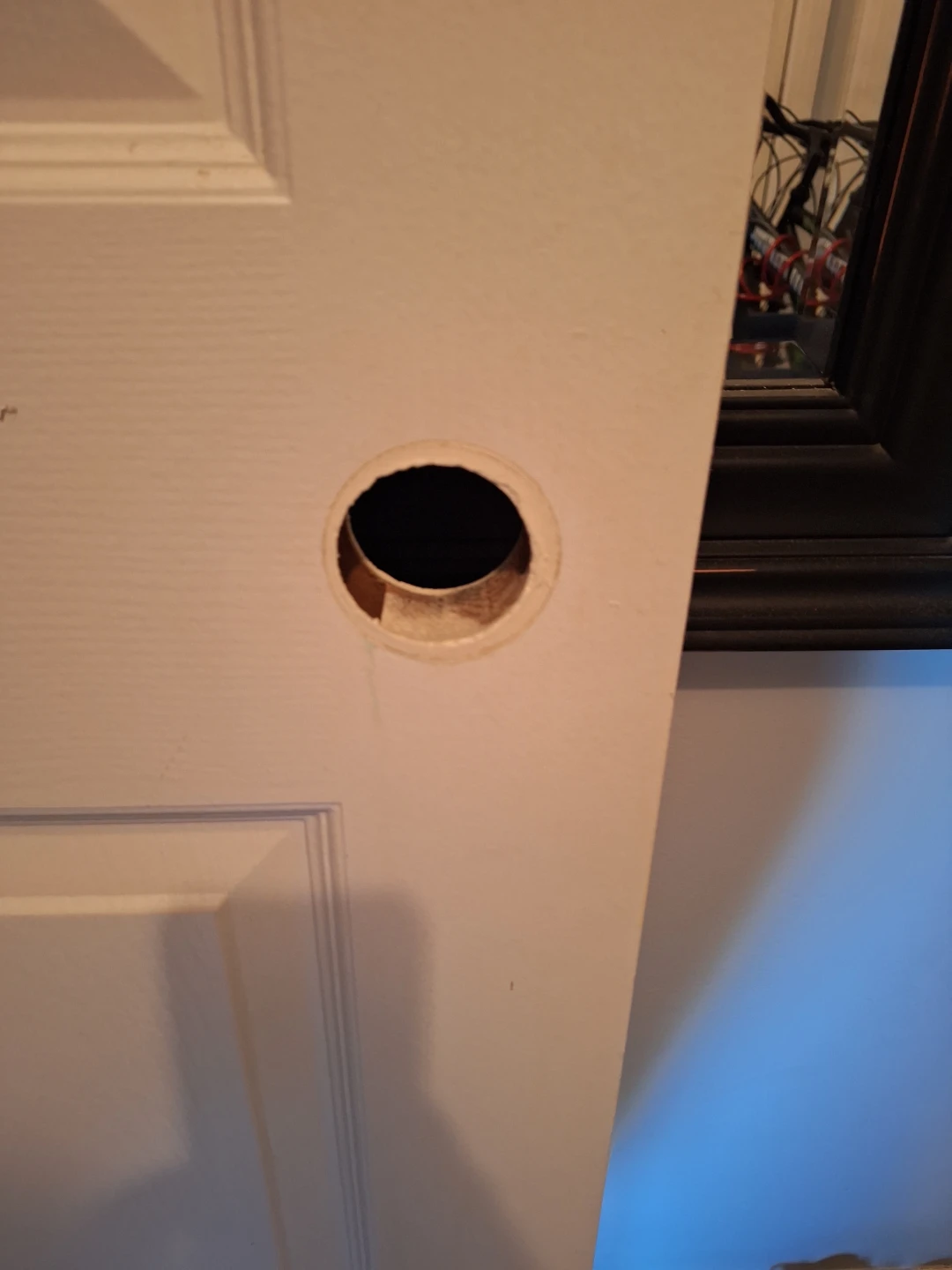 Interior Door Panel - photo 3
