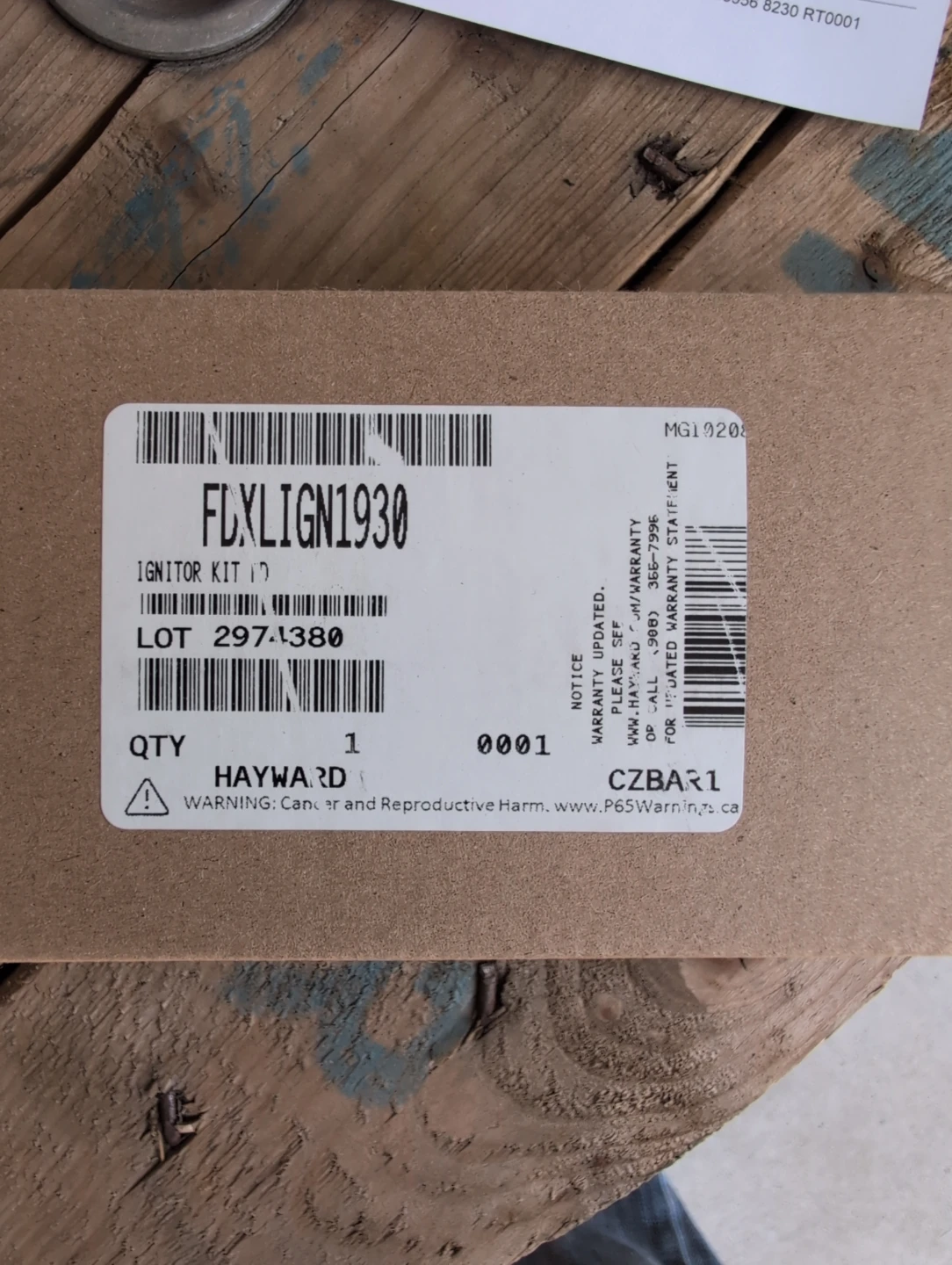 Hayward Ignitor Kit FLXLIGN1930