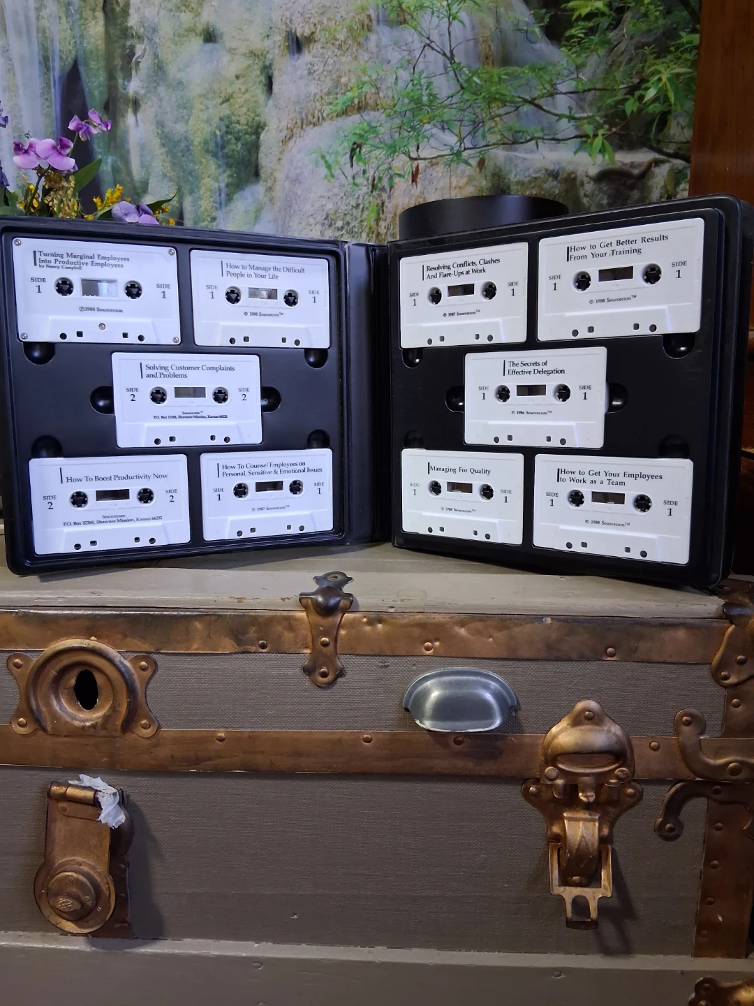 Sourcecom Success Essentials Business Audio Cassette Collection - photo 3