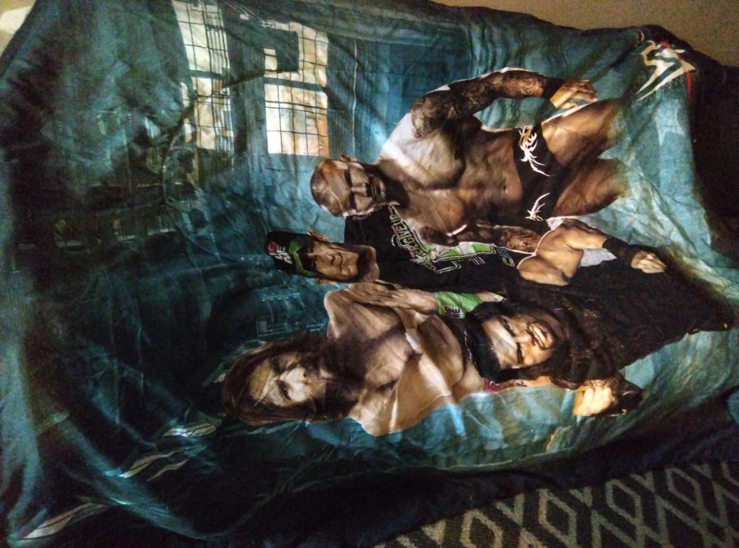 WWE Wrestling Comforter/ Reverseable