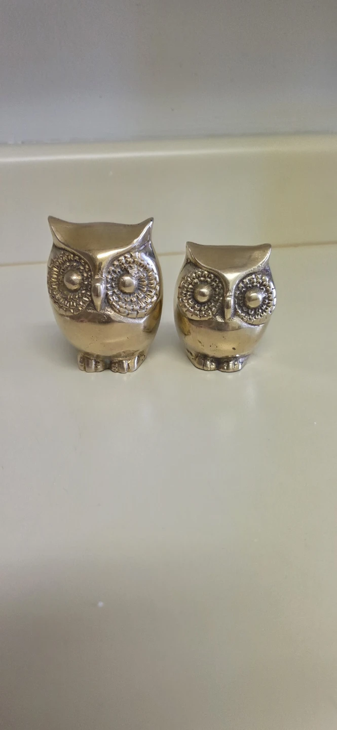 Brass Owl Figurines (Set of 2)