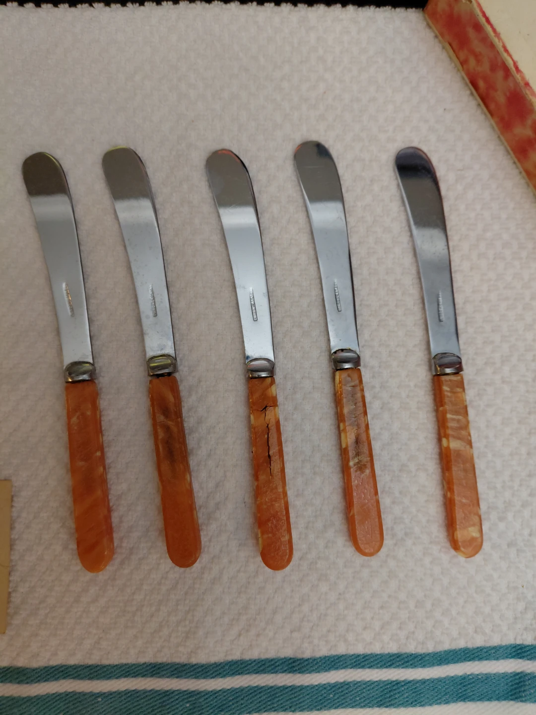 Set of 5 Vintage Butter Knives with Case