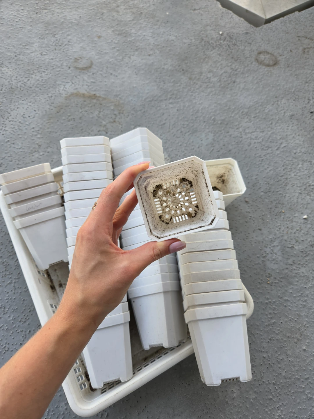 White Plastic Plant Pots (Set of 30) - photo 3