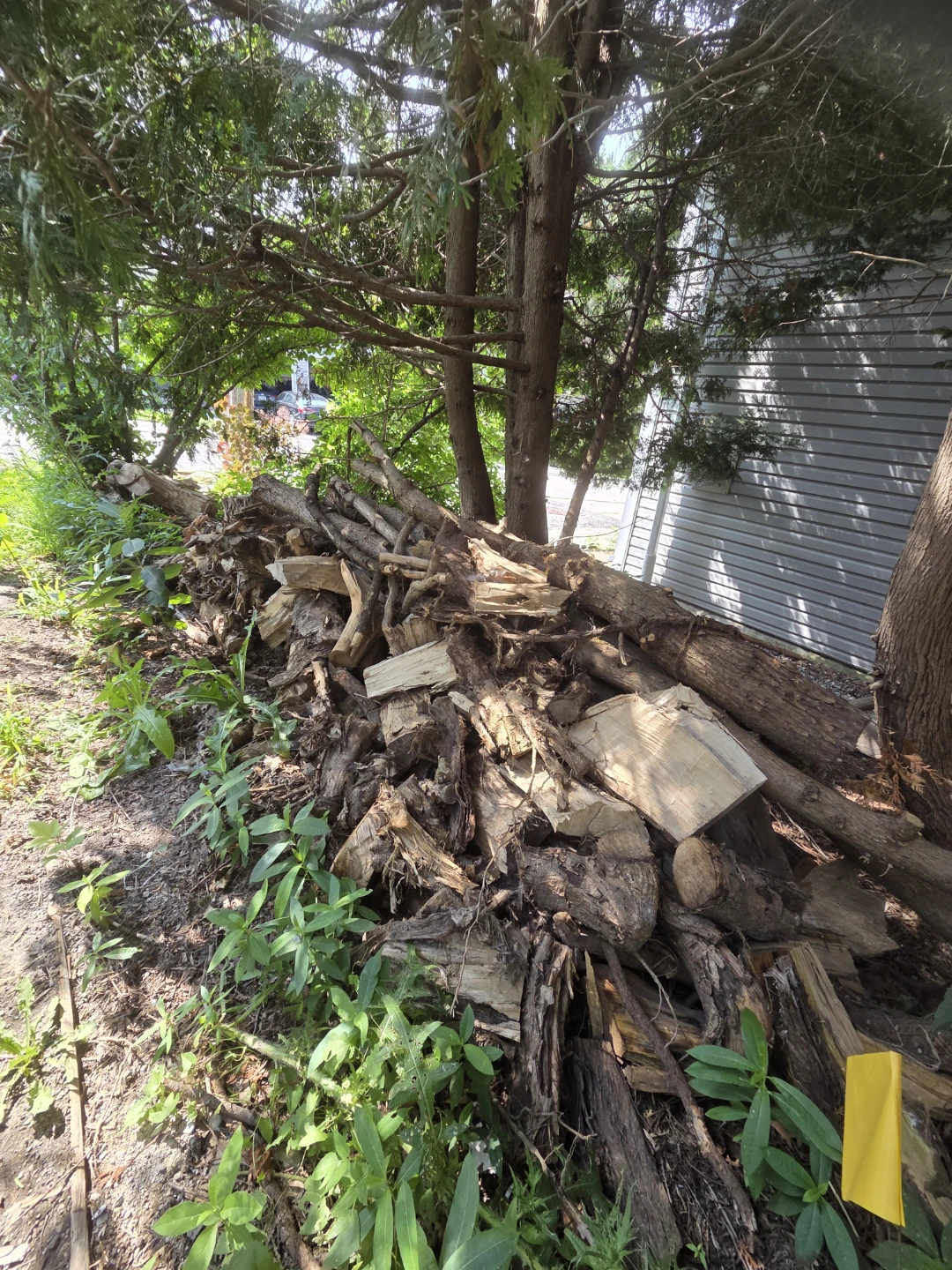 Pile of Firewood - photo 3