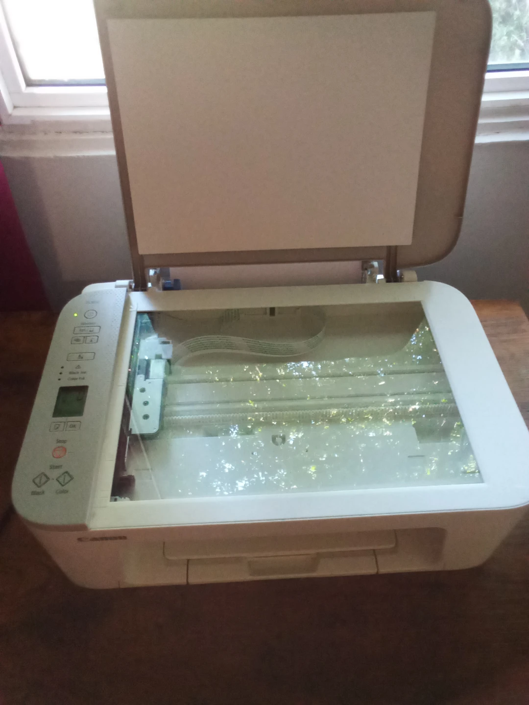 Canon PIXMA All-in-One Printer - photo 2