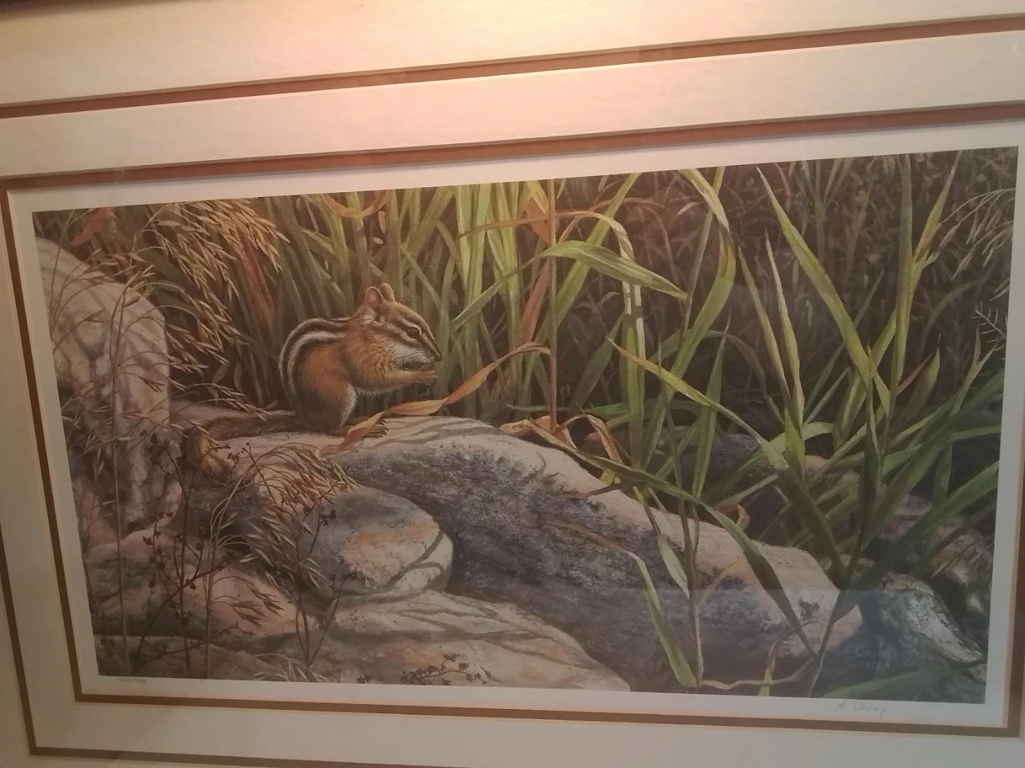 A. Casey Framed Print - Chipmunk Nature Art (1986) - 448/500 - photo 2