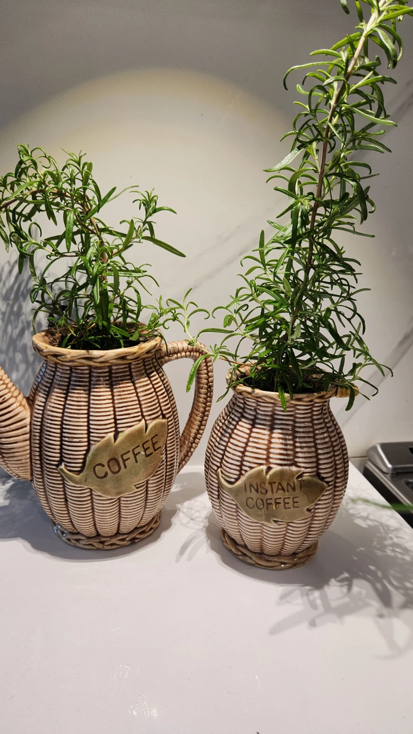 Upcycled 1970s coffee set with plants