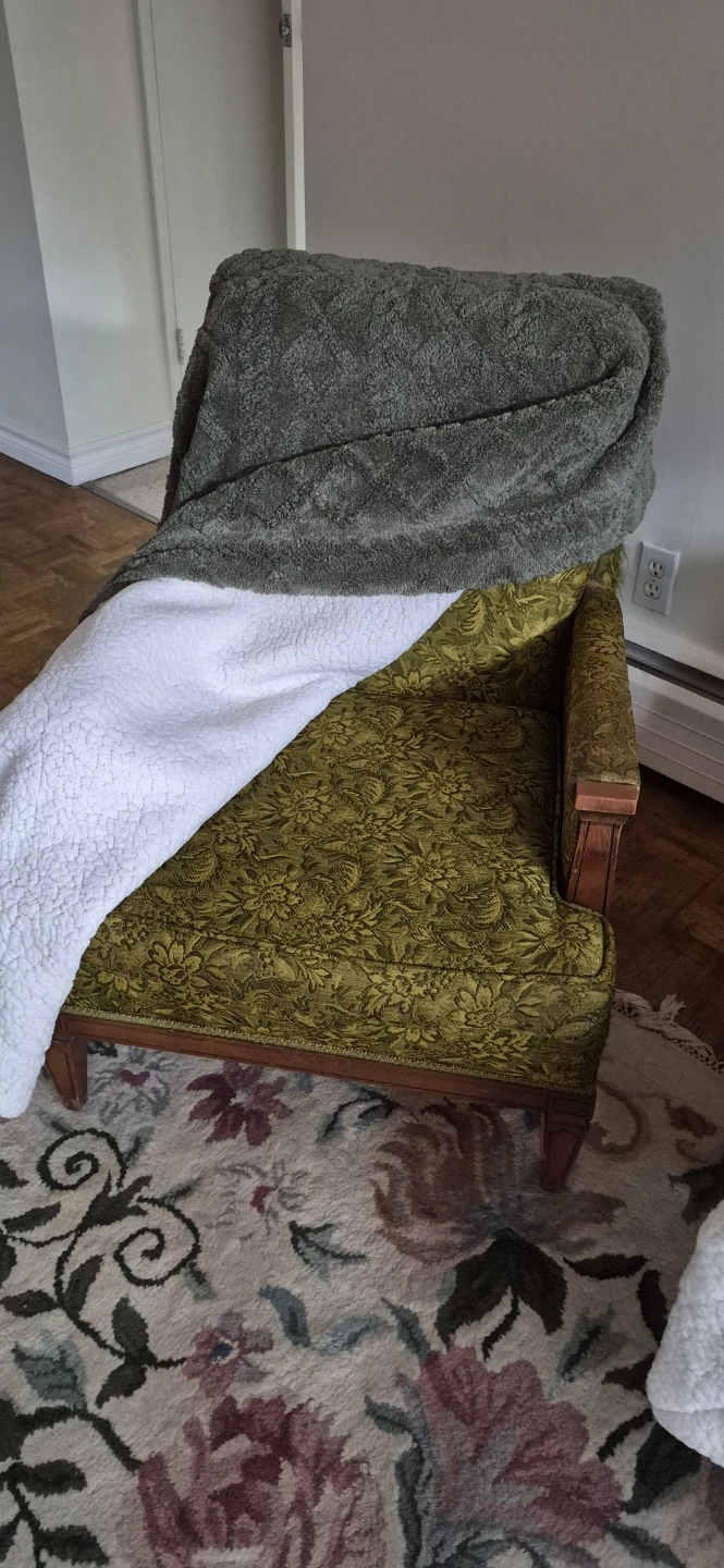 Green Armchair and Couch