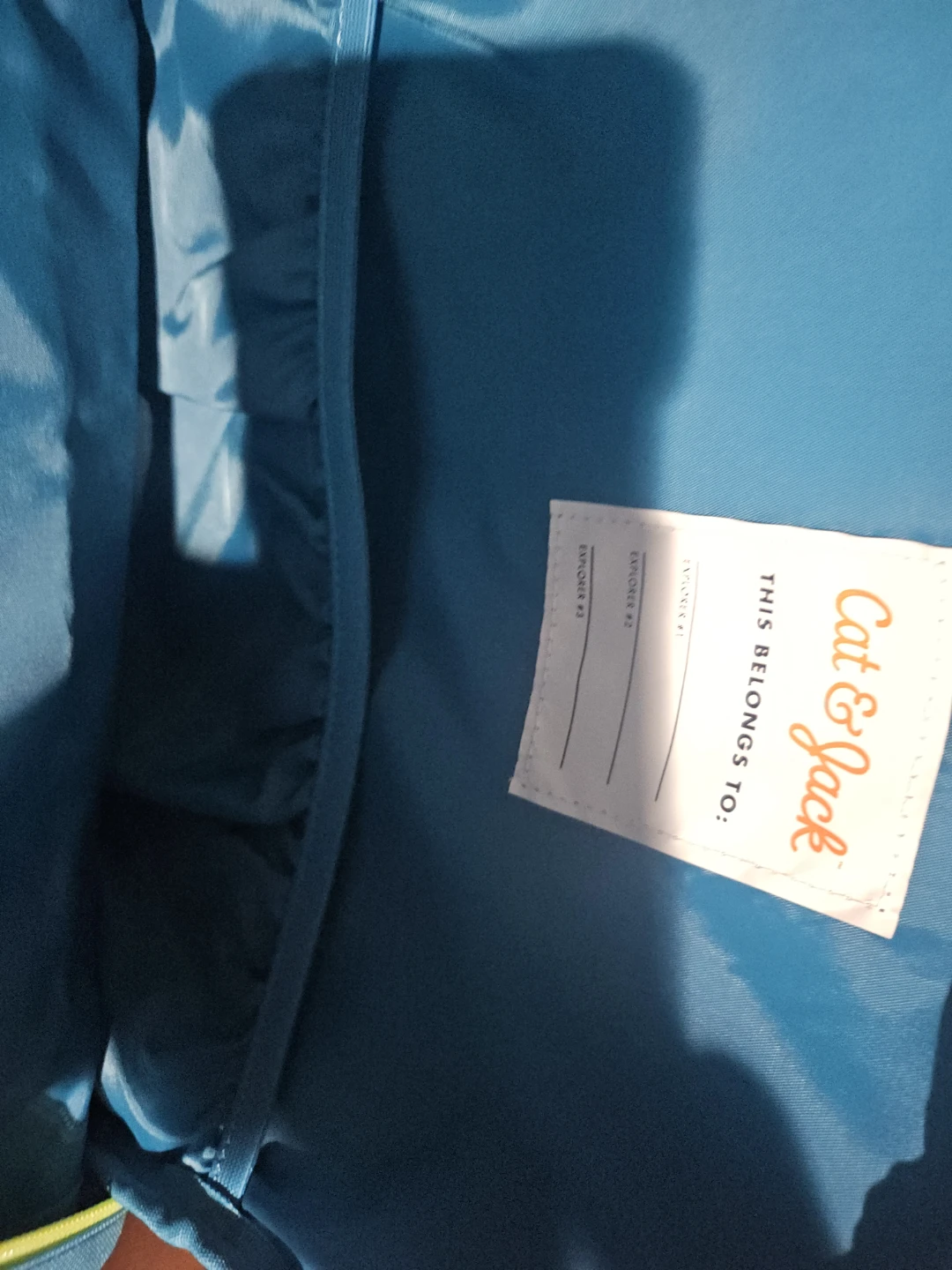 Cat & Jack Bluey Backpack and Lunch Bag Set - photo 5