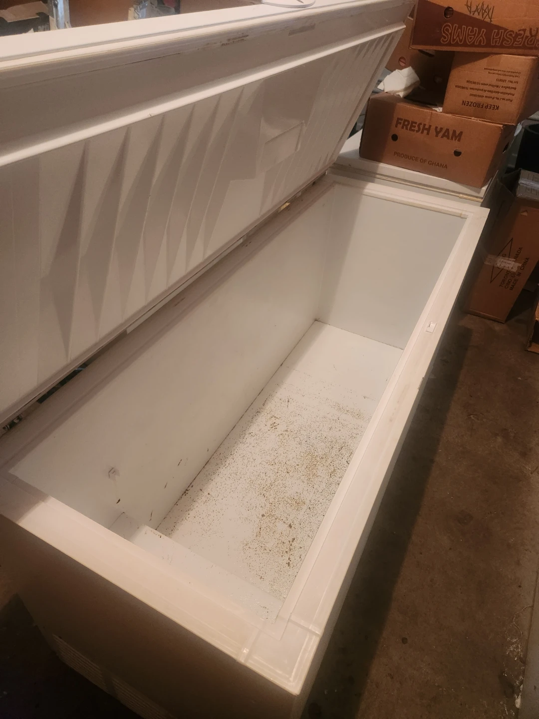 White Chest Freezer - photo 2