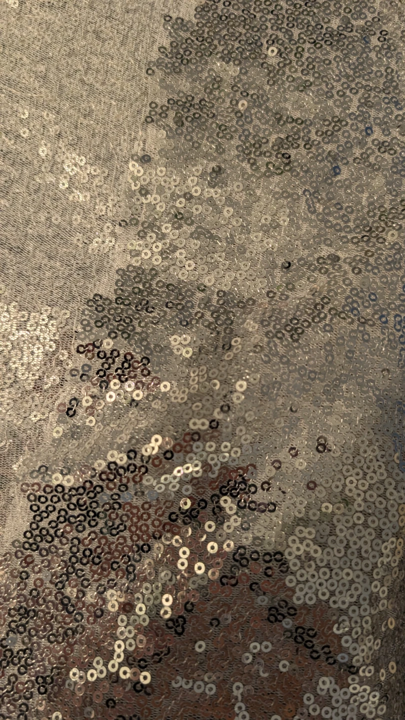 Several Metres Silver Sequined Material - photo 2