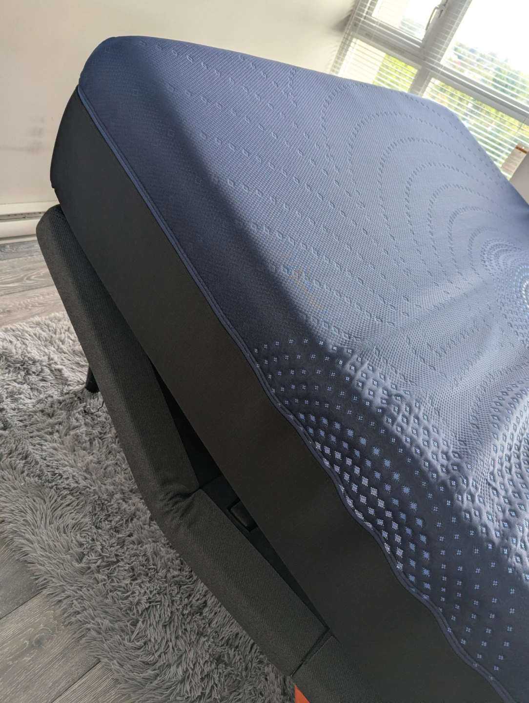 Sealy Queen Mattress and Tempur-Ergo Smart Base - photo 4