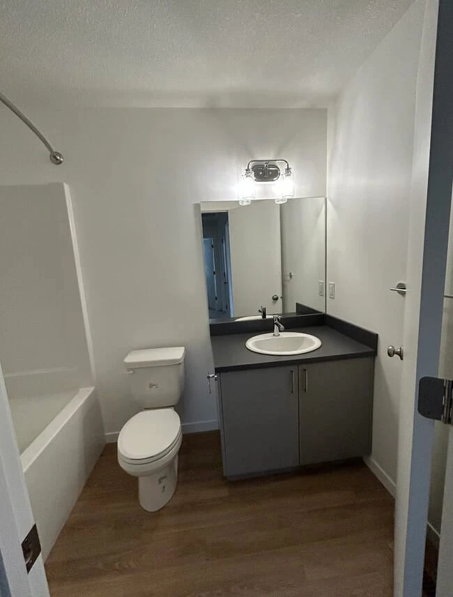 1 bedroom apartment for rent - photo 5