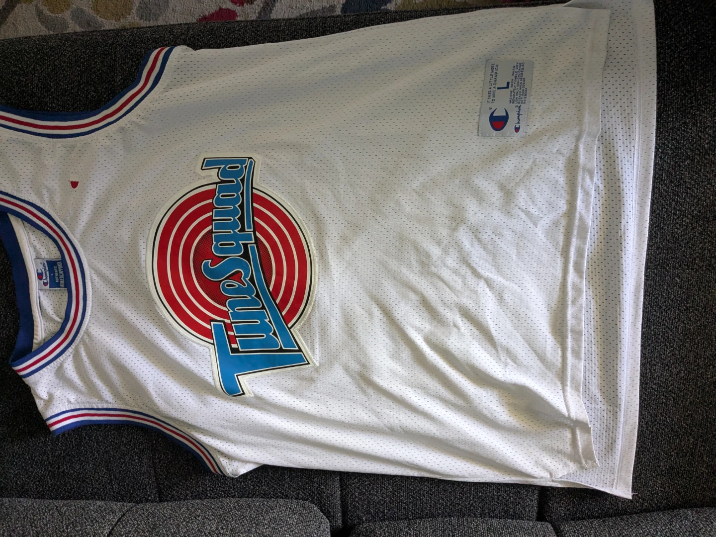 Champion Space Jam Tune Squad "Jordan 23" Jersey