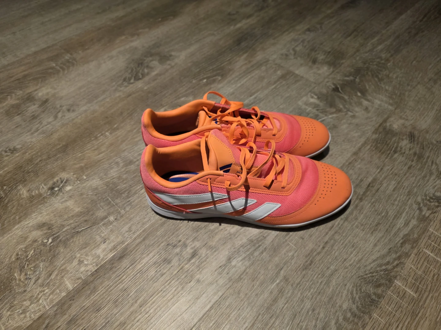 Adidas Predator Indoor Sala (Man)