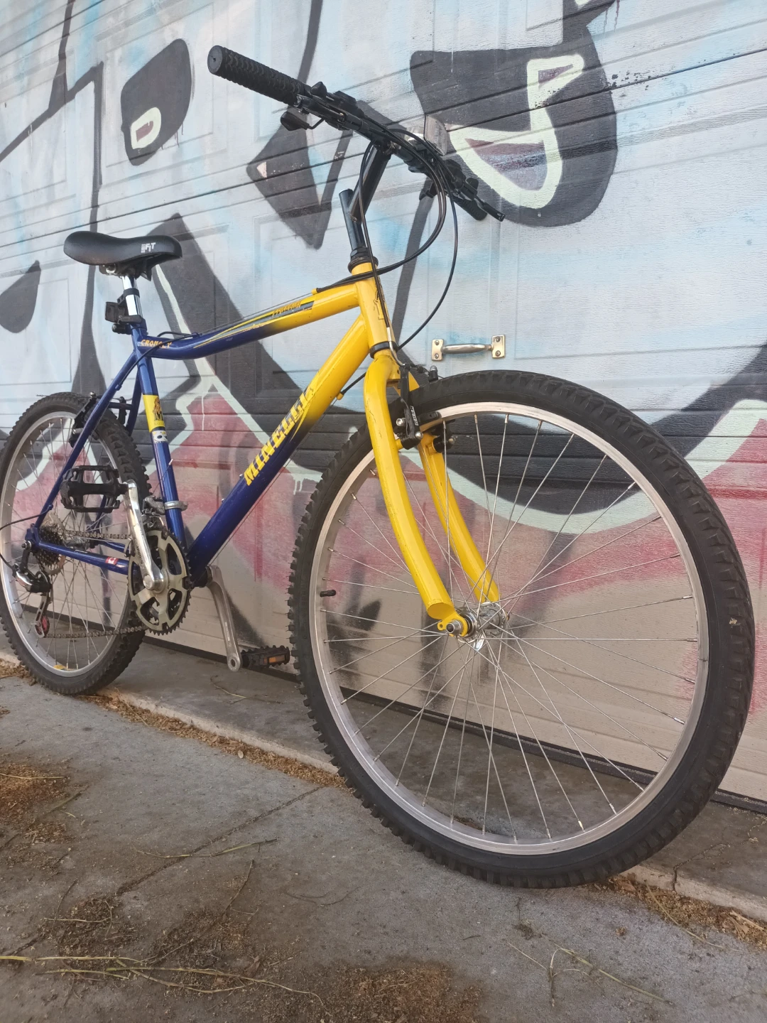 Minelli Mondial Bike