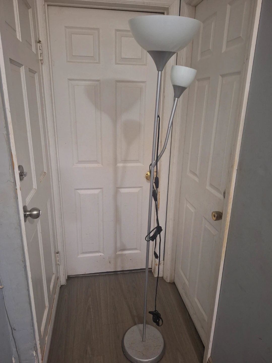 Silver Floor Lamp with Two Lights