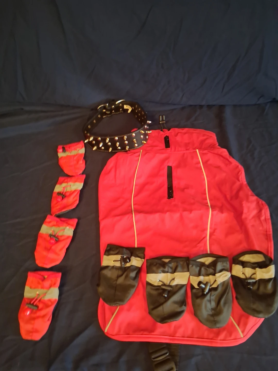 Medium doggy rain gear