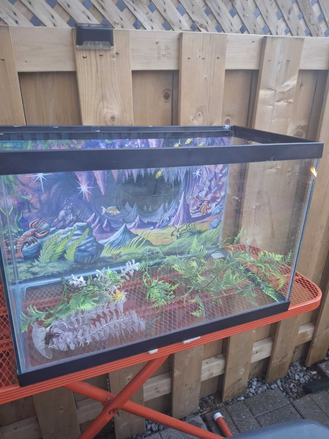 Glass Aquarium Tank - photo 5
