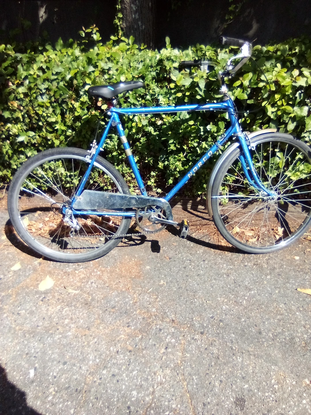 Blue Norco Bicycle