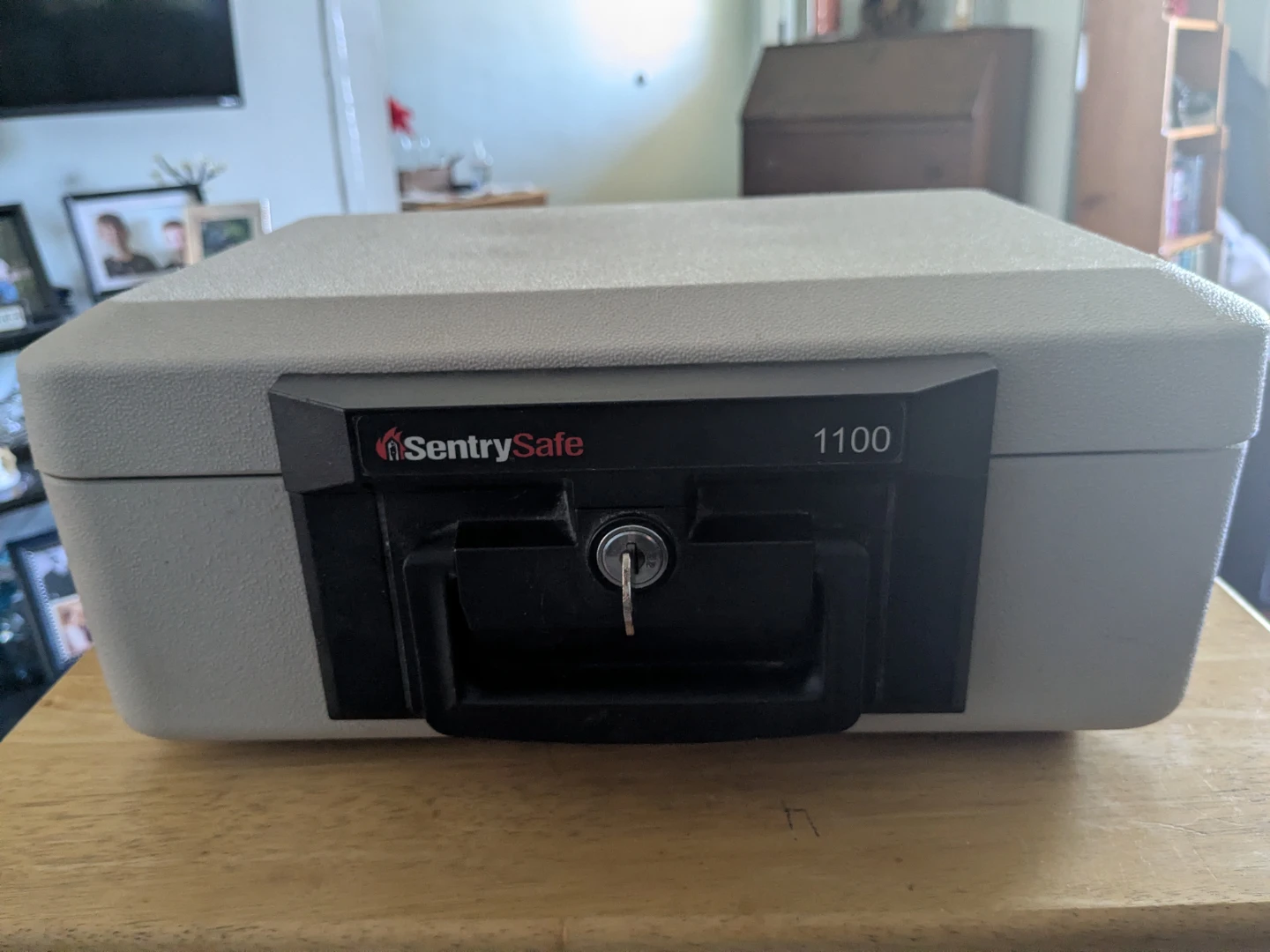 SentrySafe 1100 Fire Chest