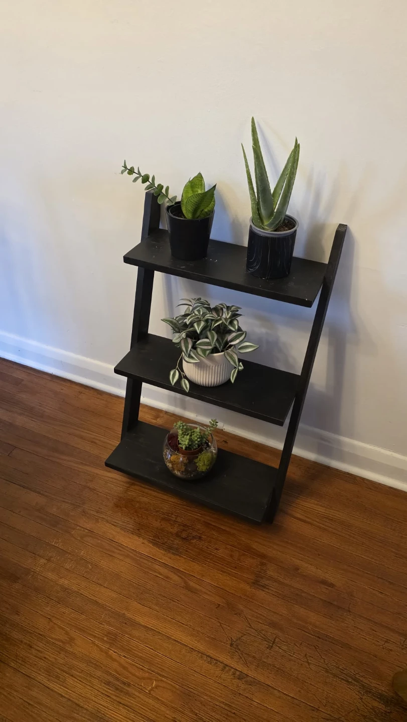 Black 3-Tier Ladder Shelf