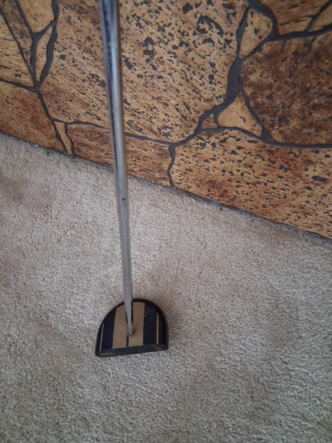 Slotline Inertial Graphite Putter