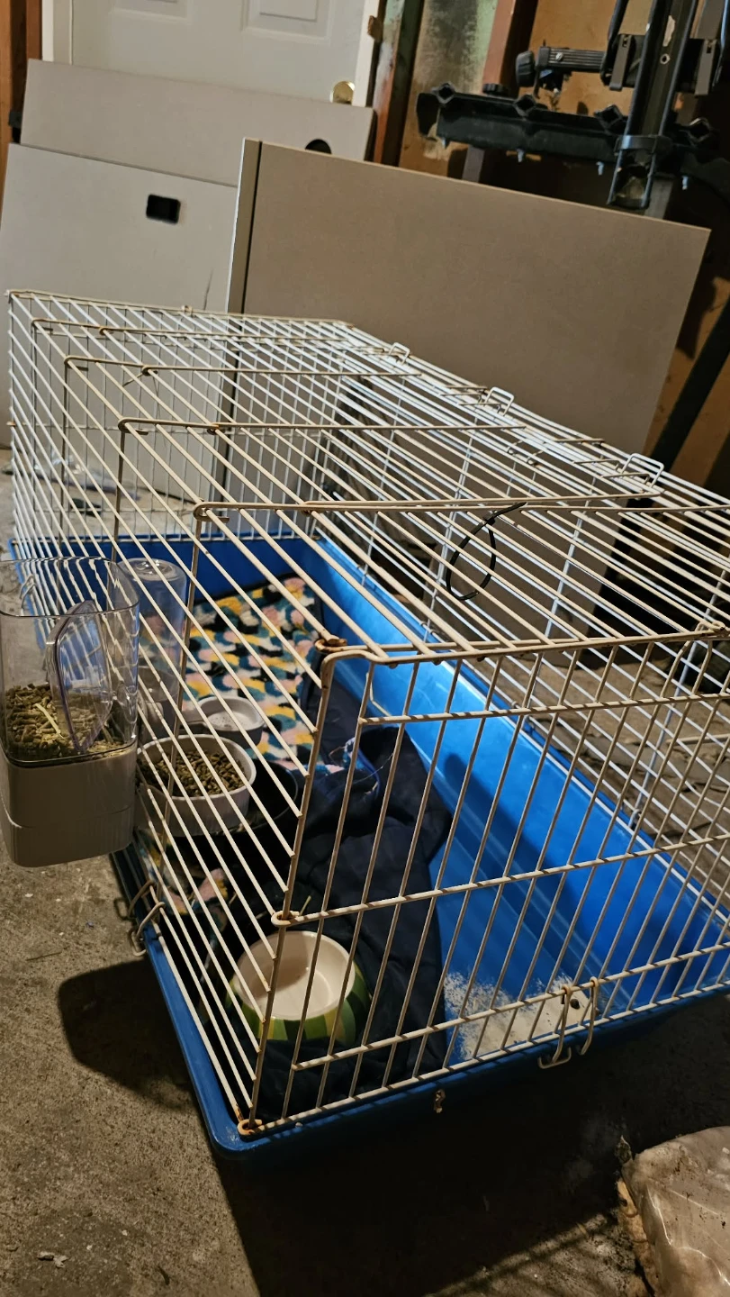 Small Animal Cage with Accessories - photo 2