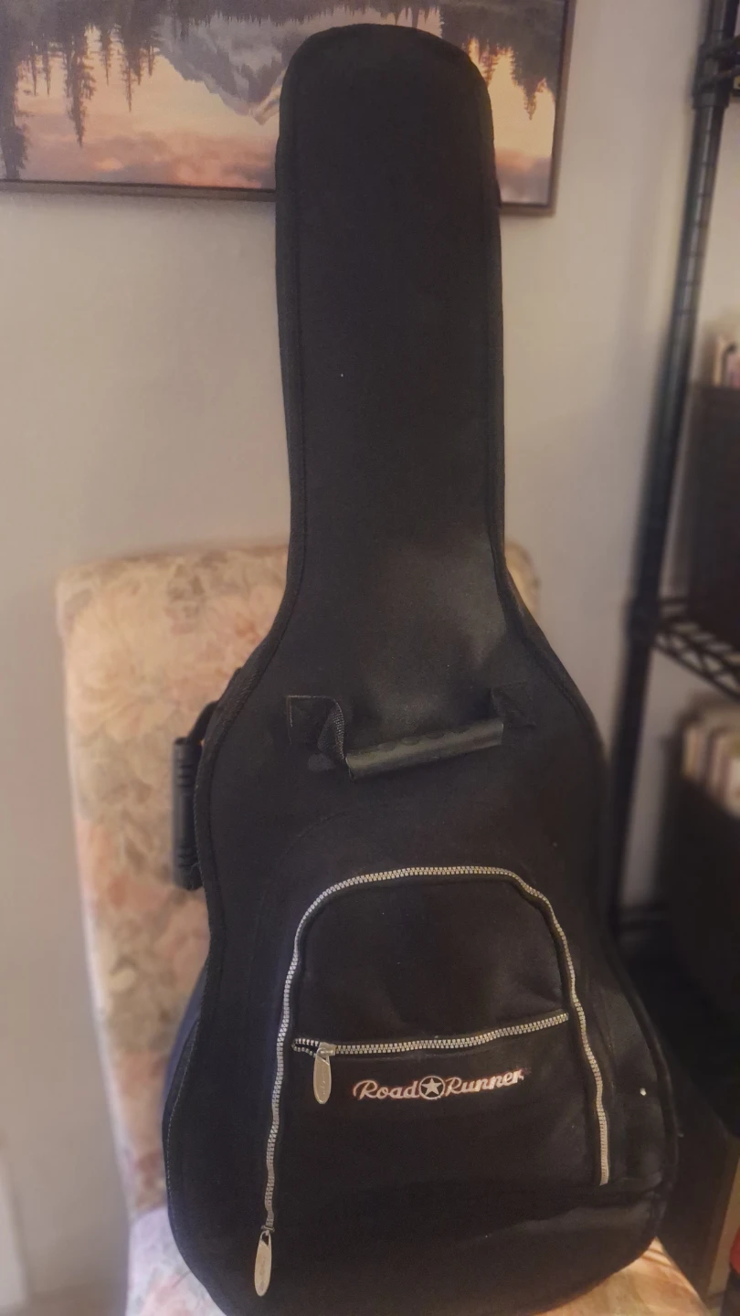 Acoustic Electric Bundle - photo 2