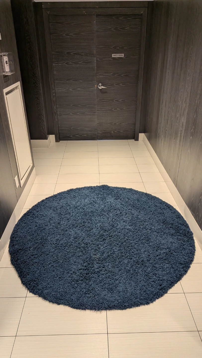 Unique Loom Solo Solid Shag Round Rug - Sapphire Blue w/pillow
