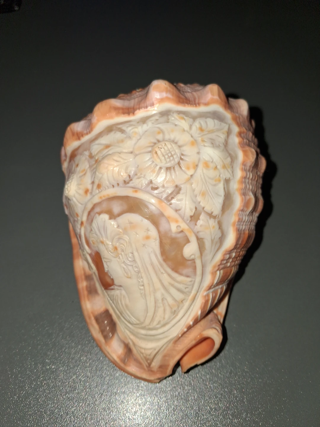 Carved Seashell with Cameo Profile