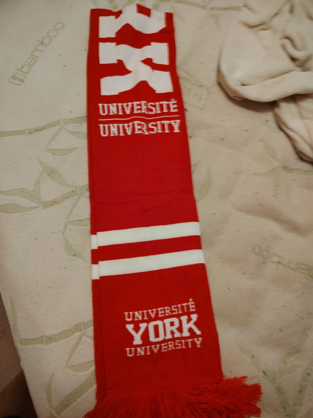 York University Scarf